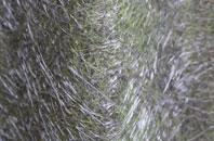 Botloes Green fibreglass roof work